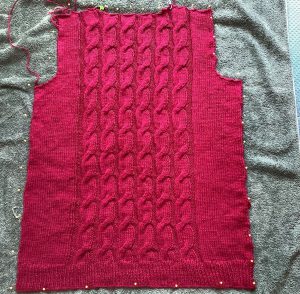 Boysenberry back - blocked